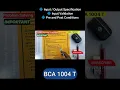 Input Output Specification Input Validation Pre Post Conditions Problem Solving Techniques