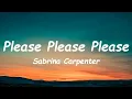 Download Lagu Please Please Please | Sabrina Carpenter (Lyrics)