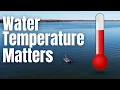 Water Temperature CHEAT SHEET For BASS FISHING How Water Temp Can Help You FIND Bass