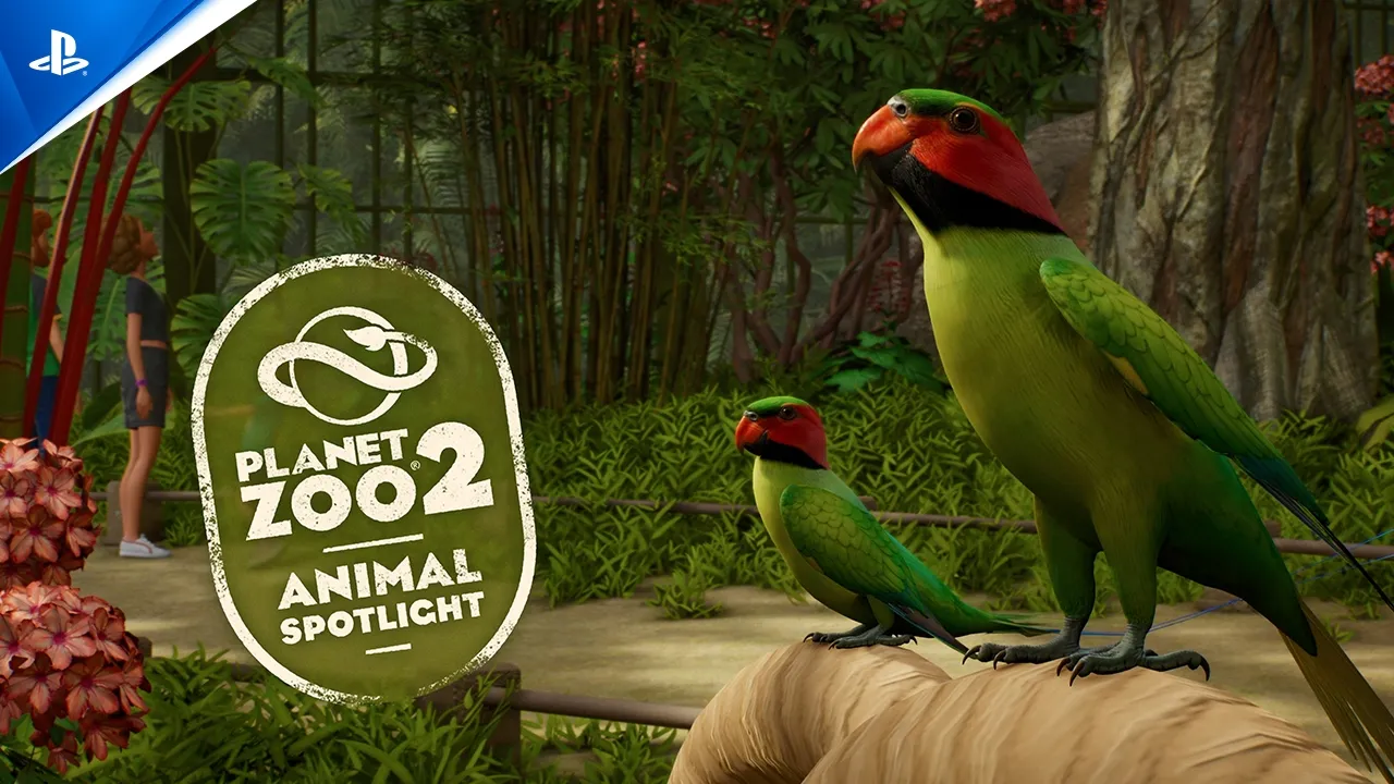 Planet Zoo 2 - Animal Spotlight: Long-Tailed Parakeet | PS5 Games