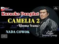 Download Lagu CAMELIA 2/Rhoma Irama/With Lyrics/Karaoke Dangdut Original [Nada Cowok]