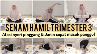 Download SENAM HAMIL TRIMESTER 3 AGAR JANIN CEPAT MASUK PANGGUL MP3