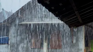 Tropical Rainstorm & Gentle Thunder in a Small Village for Sleeping, Anxiety Therapy & Meditation
