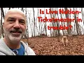 Ticketmaster Live Nation Sued Here s Why Concert Fees Are Insane