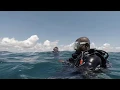 Download Lagu Diving in Mombasa Kenya Diani Kisima Cha Mungu Reef