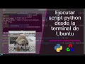 How to run a Python py script in the Ubuntu terminal