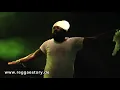 Fantan Mojah - 1/4 - King Of Kings + Tell Lie Pon Rasta - Reggae Jam 2014