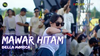 della monica mawar hitam pemuda pakistaji anniversary ke 3