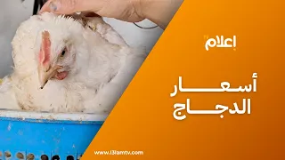 ارتفاع أسعار الدجاج يزيد أعباء المواطنين ويثقل كاهل الأسر