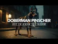 Why Doberman Pinschers are the BEST Dogs