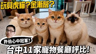 玩具虎貓？金漸層？連吃台中11家寵物餐廳評比！許伯心中冠軍？【許伯簡芝】