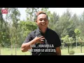 Download Lagu Pebayu Ati Kumang Menua - Roy Martin (Official MV)