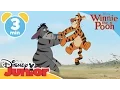 Download Lagu The Mini Adventures of Winnie the Pooh | Tigger and Eeyore | @disneykids