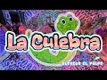 The Snake The Octopus Zumba Choreography
