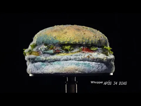 Download MP3 BURGER KING | TUDO PASSA | Propaganda  provocando o McDonald´s | 2020 | COMERCIAL DE TV