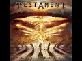 Download Lagu TESTAMENT - Shadow People Instrumental