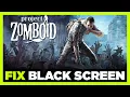 How to FIX Project Zomboid Black Screen