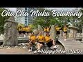 Download Lagu Cha Cha Muka Belakang Line Dance (YLD)