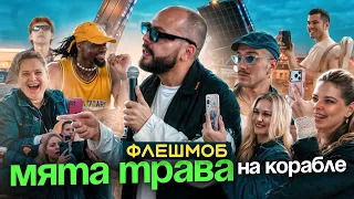 ПАССАЖИРЫ В ШОКЕ! / Сумишевский раскачал электросудно