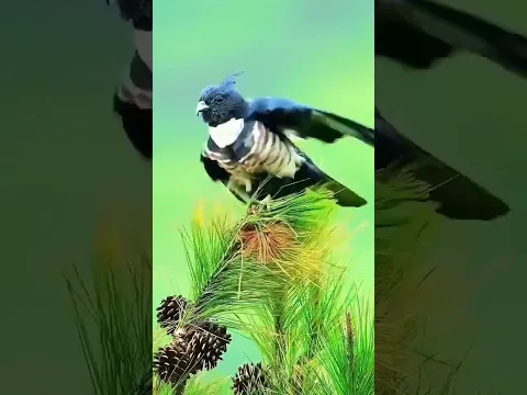 #peaceful