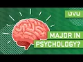 Should You Major in Psychology