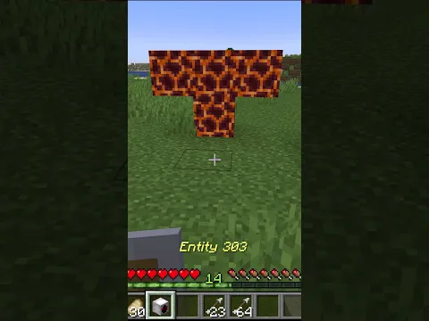 How to Spawn The entity 303 Boss in Minecraft ?