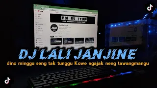 Download DJ LALI JANJINE || DINO MINGGU SENG TAK TUNGGU KOWE NGAJAK NENG TAWANGMANGU VIRAL TIKTOK ADI AS RMX MP3