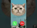 Download Lagu 🔇MI TELEPON SOUND EFFECT THREE  CAT EP.31🔇 #ringtone #smartphone #ringtones