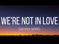 SIENNA SPIRO - We're Not In Love (Lyrics)