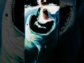 Download Lagu mengerikan🥶 Megalodon di tikam‼️ikan nya nabi yunus as😱