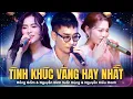 Lagu Tuyển Tập Tình Khúc Vàng HAY NHẤT 2025 - Nguyễn Đình Tuấn Dũng \u0026 Hồng Gấm \u0026 Nguyễn Kiều Oanh