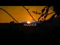 Hozier Sunlight
