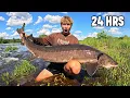 24 Hours Fishing Camping for GIANT Sturgeon