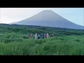 サカナクション - 夜の踊り子（MUSIC VIDEO） -BEST ALBUM「魚図鑑」(3/28release)-