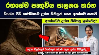 රහසේම පෘතුවිය පාලනය කරන විශේෂ ජීවි කණ්ඩායම  - උරග මිනිසුන් ගැන ඔබ කිසිදා නොඇසූ කතාව !