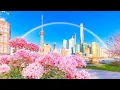 Download Lagu De helende energie van het pianogeluid ♥️ Reinig zware emoties en kalmeer je zenuwstelsel 🌿