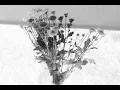 Full book The Flowers - Alice Walker