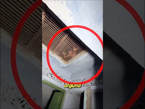 Si ves a este niño escondido ¡llama a su mamá inmediatamente!😱