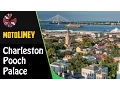 Lazy Sunday Arthur Ravenel Jr Bridge Pooch Palace English Waffle