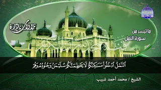 جديد المجد رائعة سورة النمل لقارئ النصر محمد احمد شبيب من نوادر المجد HD 