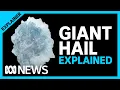 Big storms bring big risks How does hail form and why does it get so big Explainer ABC News