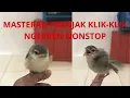 Download Lagu Masteran Burung Klik-klik Full Tembakan