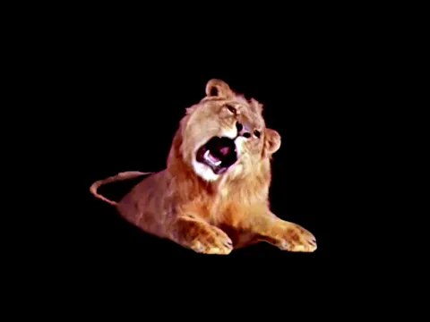 Download MP3 Leo The Lion Footage (1994)