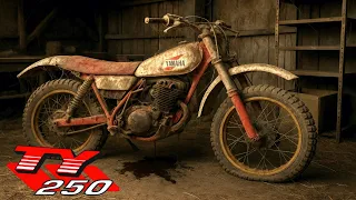 Restoration Of An Abandoned Yamaha TY 250 Genuine Barn Find  Restoration Of An Abandoned Yamaha TY 250 Genuine Barn Find