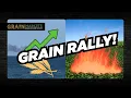 Wheat Prices SURGE on Black Sea Disruptions - Hit Fresh Highs