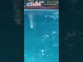 Watch Northern California Eart uake Makes Waves In Sacramento Pool