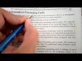 Information processing cycle Input Output Storage Processing Information technology IT
