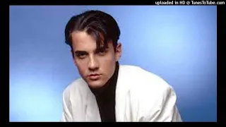 Download I'M FALLING IN LOVE - Tommy Page MP3