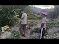 Download Lagu Jemput Mama Di Ladang Timun Baru Bekas Ladang Jagung