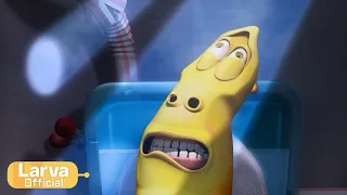 Toilet | 화장실 | Animation Compilation | Larva Tuba | Official